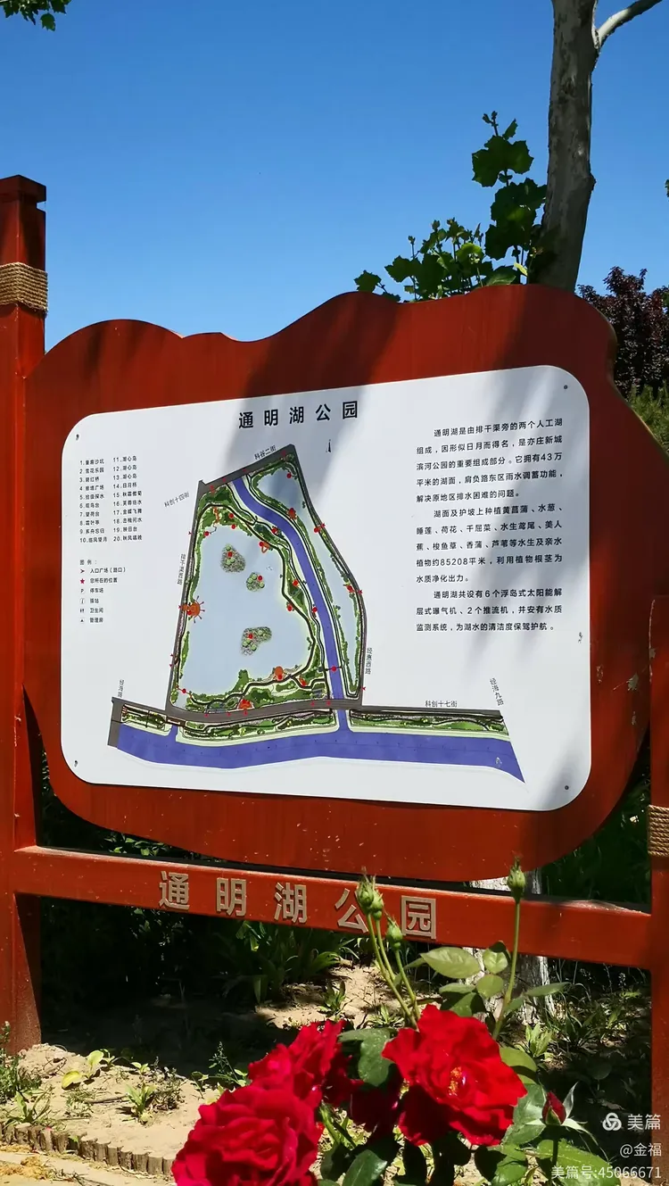 游览通明湖公园